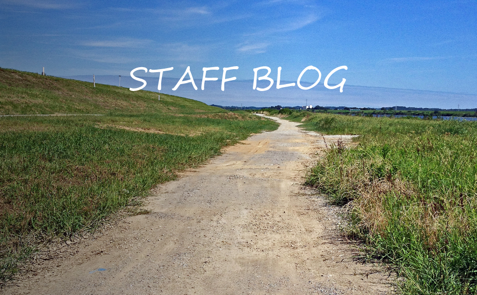 STAFF Blog